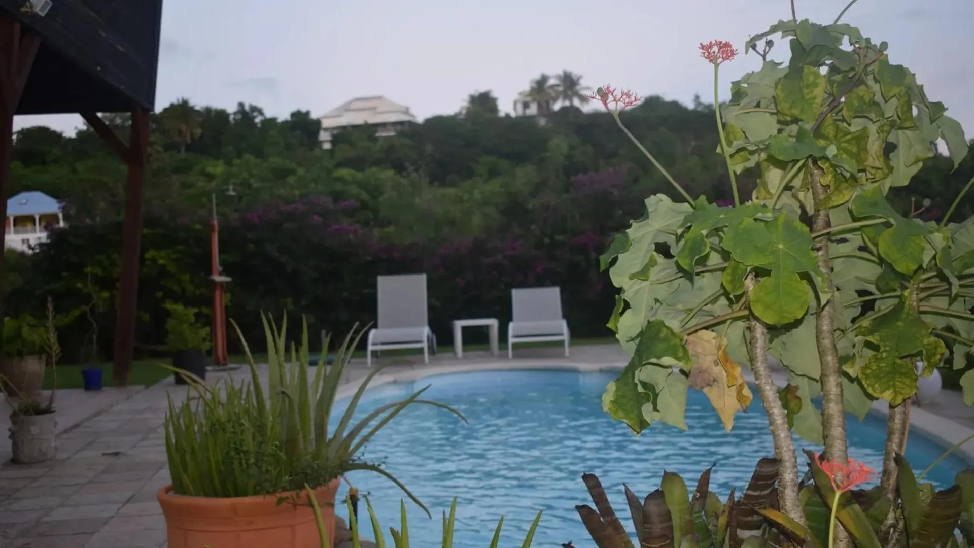 Villa Cosy Avec Piscine Privee - Le Gosier. Le Gosier  Guadeloupe